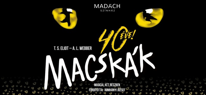 Macskák musical Győrben, Szegeden,Veszprémben és Debrecenben 2023-ban! Jegyek itt!